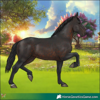 Horse Color:Brown 
