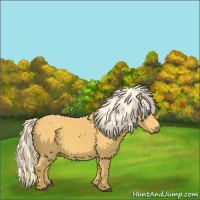 Horse Color:Palomino 