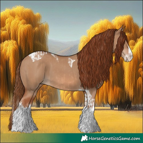 Horse Color:Red Dun Splash and Red Dun Splash Tobiano