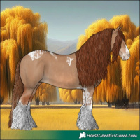 Horse Color:Red Dun Splash  and Red Dun Splash Tobiano 
