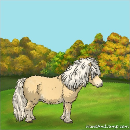Horse Color:Palomino 