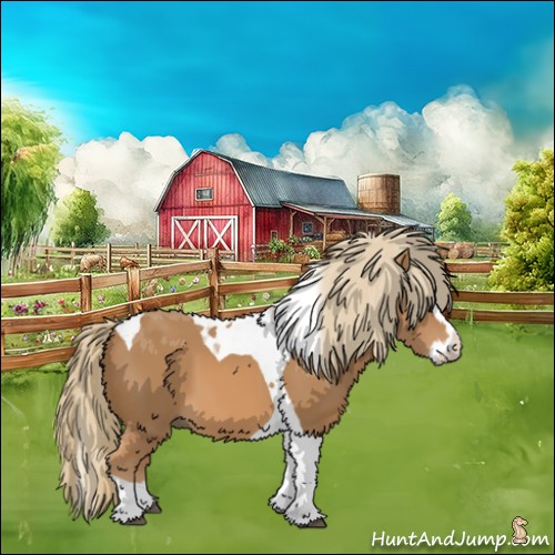 Horse Color:Chestnut Splash Tobiano 