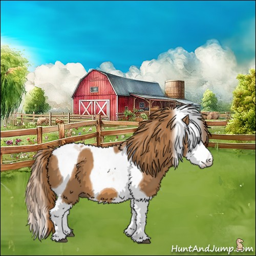 Horse Color:Chestnut Splash Tobiano