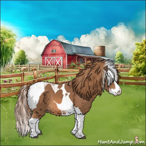 Horse Color:Chestnut Splash Tobiano