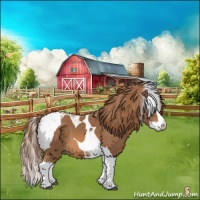 Horse Color:Chestnut Splash Tobiano 