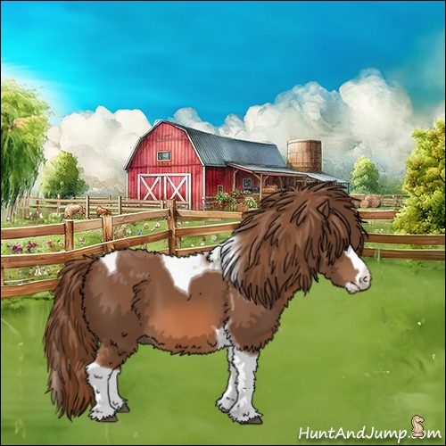 Horse Color:Chestnut Splash Tobiano