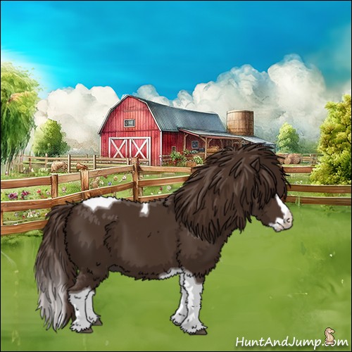 Horse Color:Liver Chestnut Splash Tobiano 