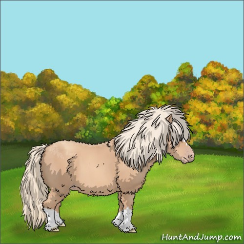 Horse Color:Gold Champagne