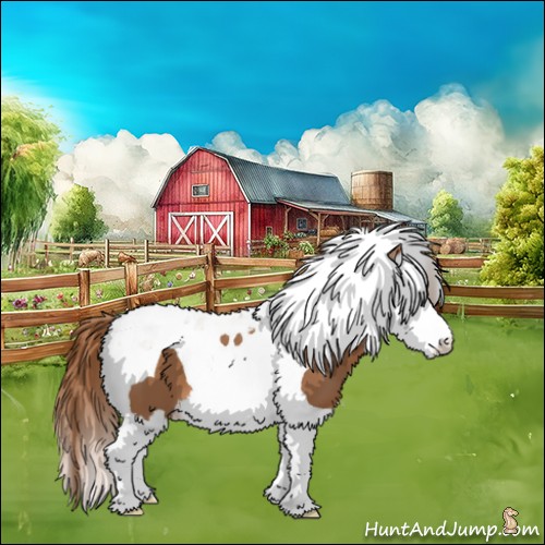 Horse Color:Chestnut Splash Tobiano 