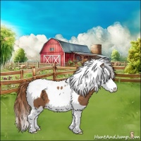 Horse Color:Chestnut Splash Tobiano 