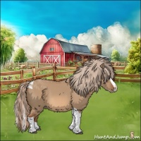 Horse Color:Red Dun Splash Tobiano 