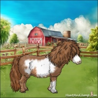 Horse Color:Chestnut Frame 