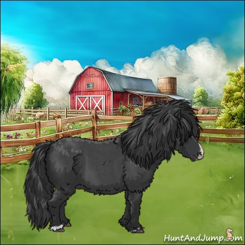 Horse Color:Blue Roan Splash 