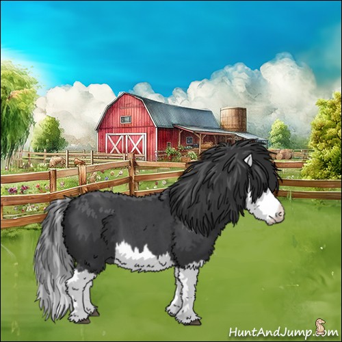 Horse Color:Blue Roan Splash