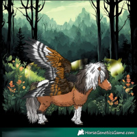 Horse Color:Bay Tobiano 
