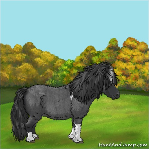 Horse Color:Blue Roan Tobiano 