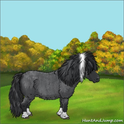 Horse Color:Blue Roan Tobiano 