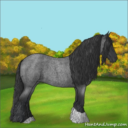 Horse Color:Blue Roan Tobiano 