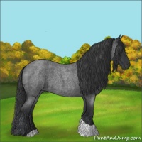 Horse Color:Blue Roan Tobiano 