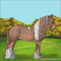 Horse Color:Red Roan Tobiano 