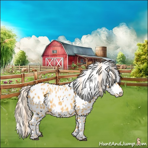 Horse Color:Palomino Appaloosa