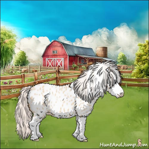 Horse Color:Silver Classic Champagne Dun Splash Frame Appaloosa 