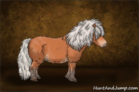 Horse Color:Silver Bay 
