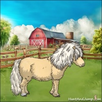 Horse Color:Palomino 