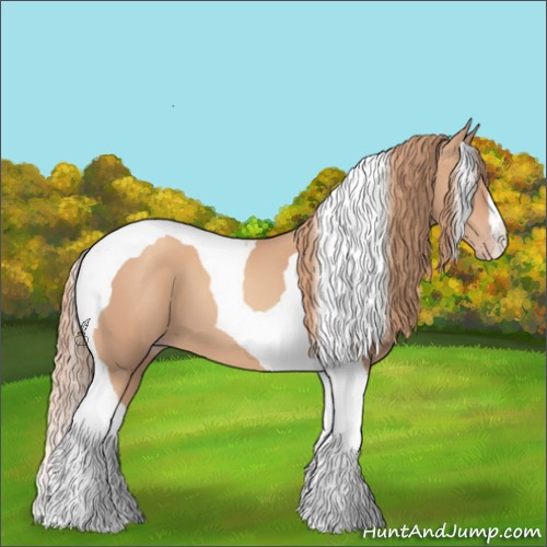 Horse Color:Gold Champagne Tobiano 