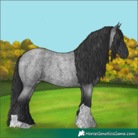 Horse Color:Blue Roan Tobiano 