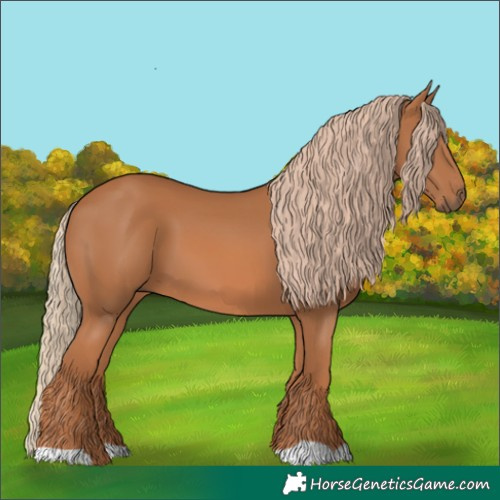 Horse Color:Chestnut 