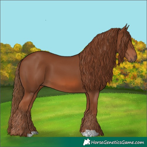 Horse Color:Chestnut 