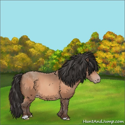Horse Color:Sable Champagne 