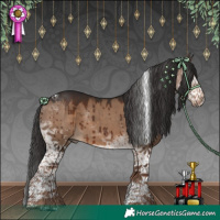 Horse Color:White Spotted Liver Red Dun Tobiano Brindle 