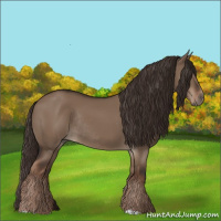 Horse Color:Liver Red Dun Rabicano