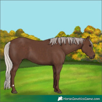 Horse Color:Silver Black 