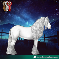 Horse Color:Silver Grullo Roan Splash Varnish 