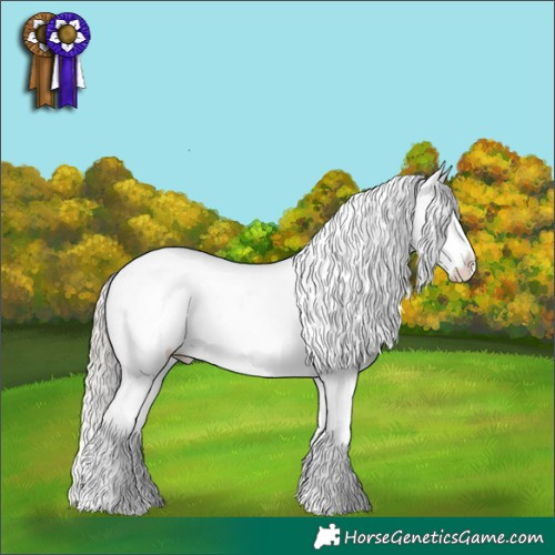 Horse Color:Silver Blue Roan Splash Varnish 