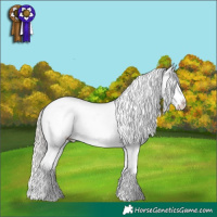 Horse Color:Silver Blue Roan Splash Varnish 