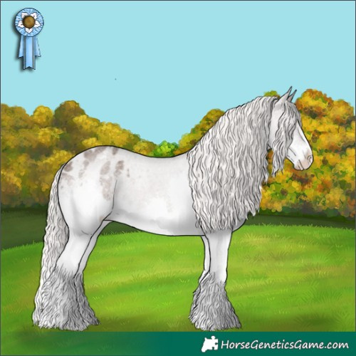 Horse Color:Silver Blue Roan Splash Appaloosa 