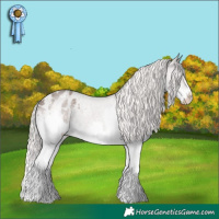 Horse Color:Silver Blue Roan Splash Appaloosa 