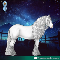 Horse Color:Silver Blue Roan Mushroom Splash Frame Appaloosa