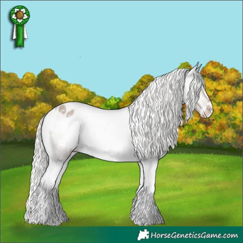 Horse Color:Silver Grullo Roan Splash Frame Appaloosa 