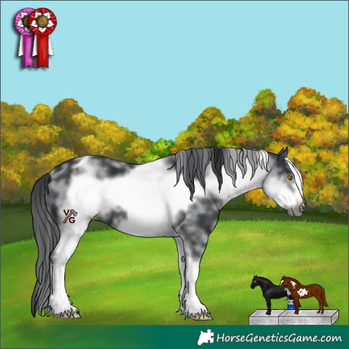 Horse Color:White Spotted Black Frame 