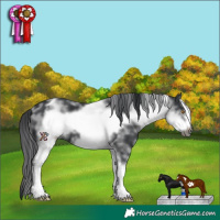 Horse Color:White Spotted Black Frame 