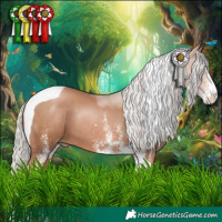 Horse Color:White Spotted Silver Black Pearl Tobiano Rabicano 