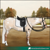 Horse Color:White Spotted Silver Brown Pearl Dun 