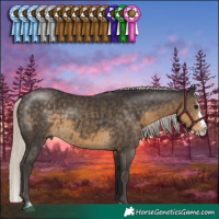 Horse Color:Silver Smoky Black Sabino Splash Rabicano