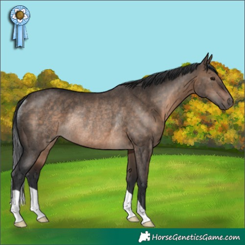 Horse Color:Brown Dun Rabicano 