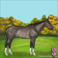 Horse Color:Brown Dun Rabicano 